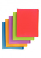 RELIURE PROTEGE DOCUMENTS 100 VUES 22X30 COULEUR ASSORTIE